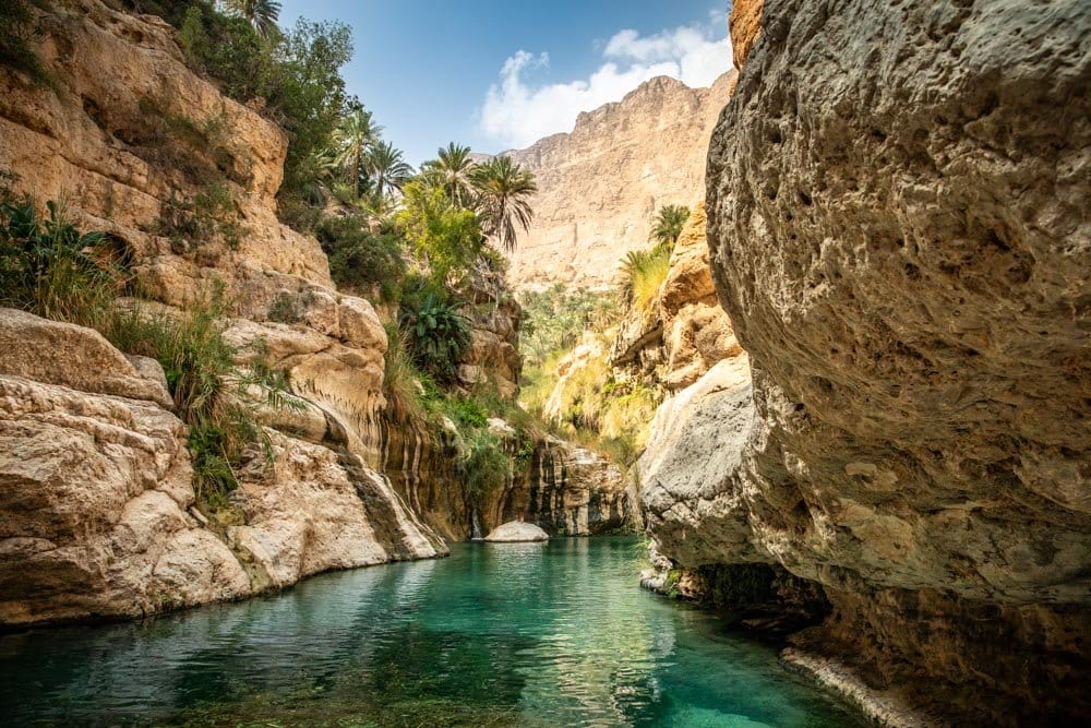 Les bassins d’émeraude et les palmiers du Wadi Tiwi